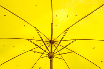 Yellow parasol background.