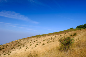 Kew Mae Pan Nature trail,Doi Inthanon,Chaingmai, Thailand.