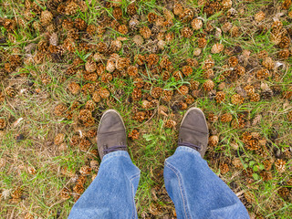 Feet in the pine forest.