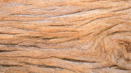 Background texture of old wood.