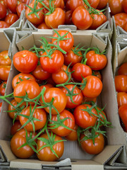 Tomatoes in the supermarket.