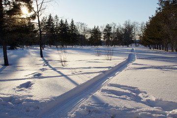 evening sun  © Пальцына Ирина