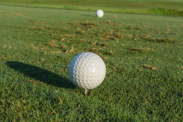 Las pelotas de golf blancas están en el campo.