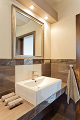 Sink and mirror in brown bathroom