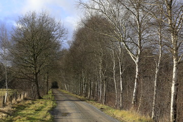 Niedersandhausen in der Winterjahreszeit