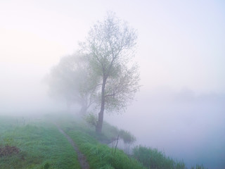 Obraz na płótnie Canvas Fog on the river.