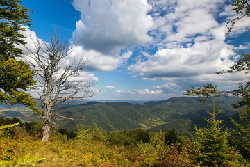 Beautiful summer landscape with mountains, blue sky and clouds.