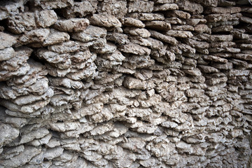 Dry fuel made of cow dung