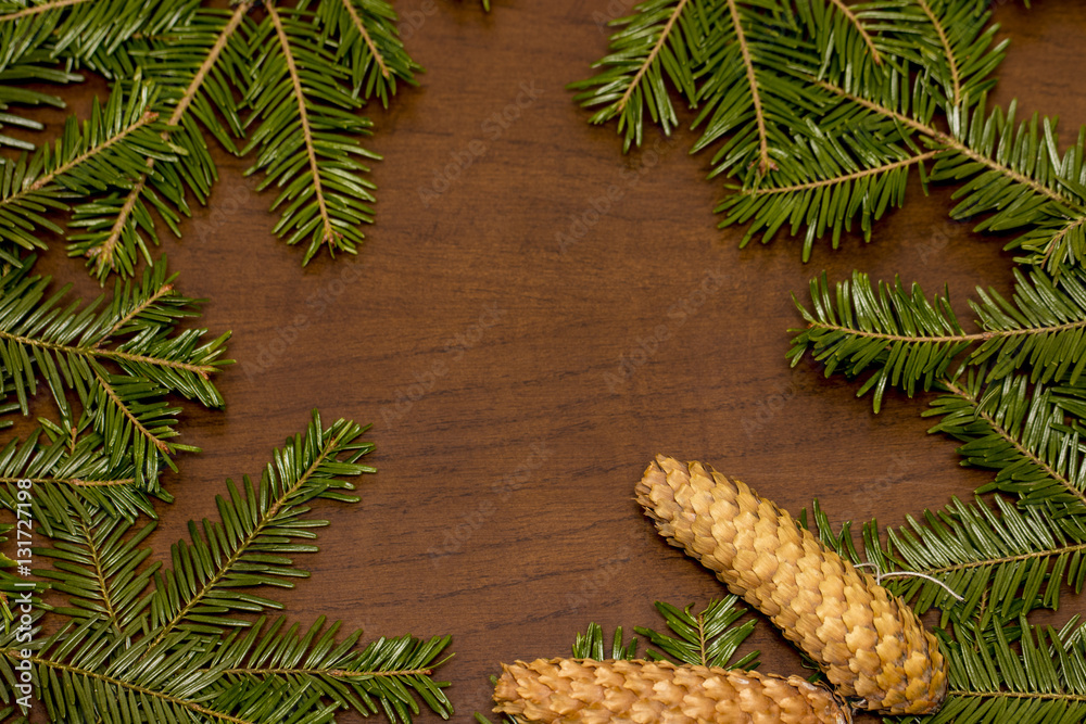 Wall mural Christmas green pine  spruce branch on wooden background