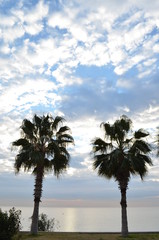 Fototapeta premium morning sea