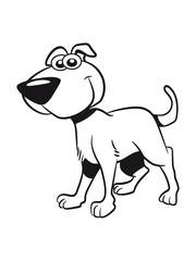 Dog baby funny witty