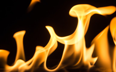 Orange Flame on Black Background