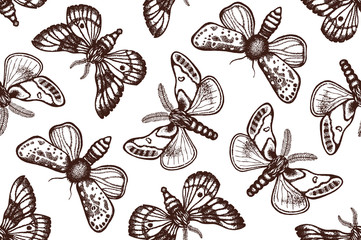 Seamless pattern with night butterflies in retro style. Biological background with insects. Hand drawn. Vector illustration.