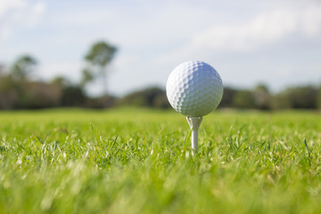 White Golf Ball on Tee