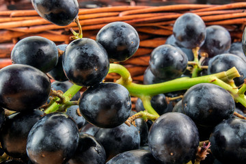 Uvas