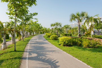 Comfort zone on track for exercise and relaxation at green garden