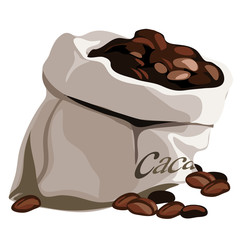 Bag with flavored coffee beans. Vector isolated