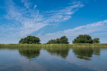 Riverbank of the Danube river with reeds and trees. Danube delta, Romania.