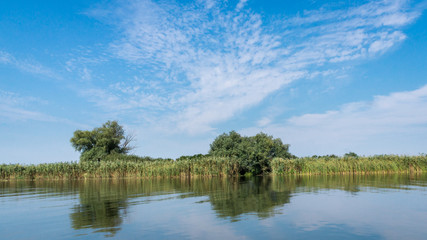 Riverbank of the Danube river with reeds and trees. Danube delta, Romania.