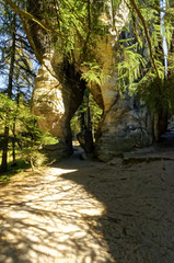 Natural rock cave formation with green trees and plants around