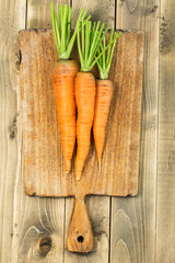 Fresh carrots on wooden cutting board