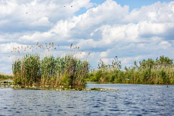 Landscape photo of Danube Delta