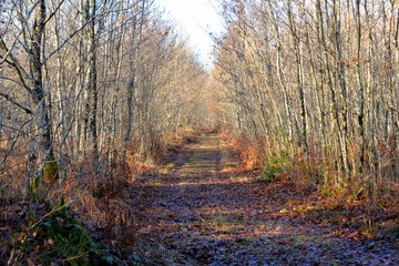 découverte des Mardelles de Prémery