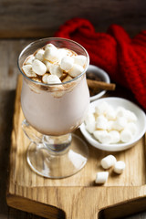 Hot cocoa drink with marshmallow