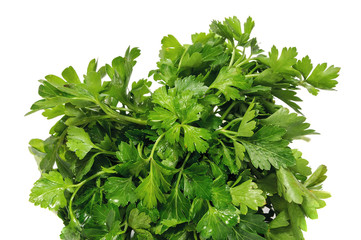 Bunch of parsley on a white background