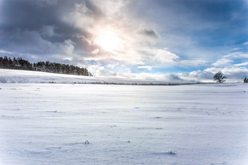 A barren snow covered land with a few trees seen here and there