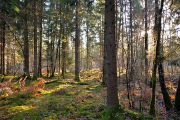 découverte de la Nièvre