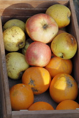 Naklejka na ściany i meble Basket of Apples and oranges