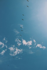 viaje al cielo