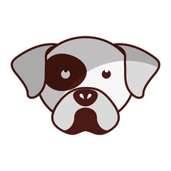 cute dog mascot head isolated icon vector illustration design