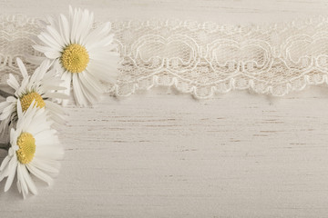 daisy flowers on wooden background