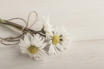 Fototapeta na wymiar daisy flowers on wooden background