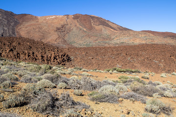 Lava Field on Tenerife, Spain.