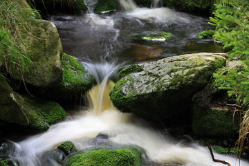 Small stream in the Bohemian Forest (Sumava National Park), Czech Republic