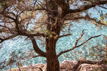 Beautiful rocky beach on Sardinia, Italy
