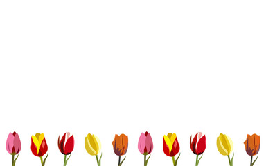 Wallpaper tulips in colors, vector