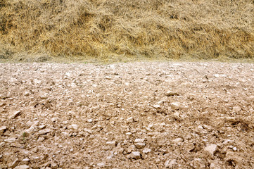 Agricultural background. Texture of brown just plowed earth and yellow hay. Place for text.