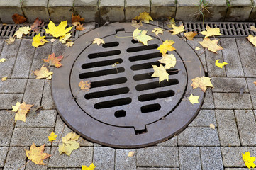 Old manhole cover with holes on sidewalk with yellow maple leaves in autumn.
