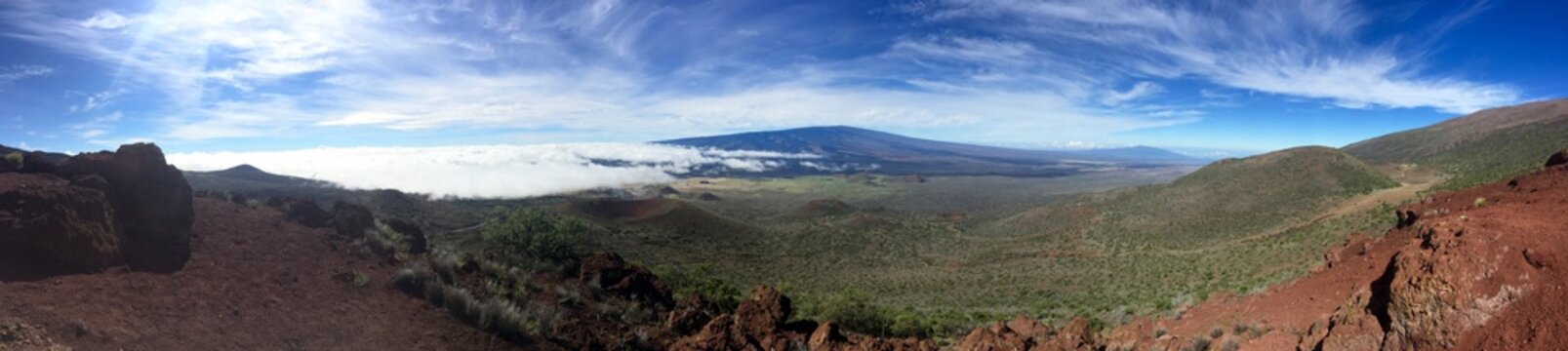 Mauna Loa Panorama