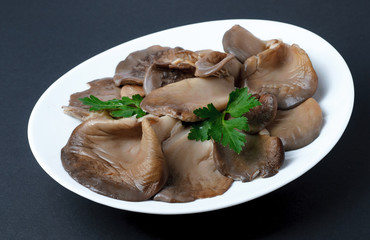 Freshly Boiled oyster mushrooms sit on a white plate.