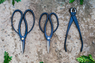 Garden tools on a rough texture