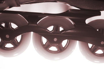 Freestyle inline skates in store