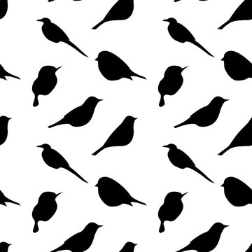 Seamless pattern with black birds silouettes on white background