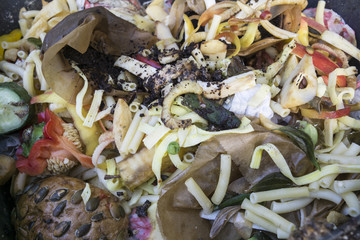 Various vegetable peelings, food and other waste for conceptual use.