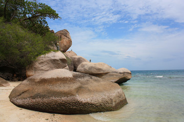 Thailand Ko Tao Fels