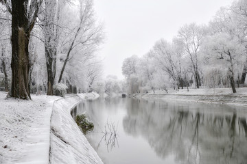 Winter landscape
